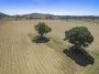 Superb rural lifestyle living – 74 acres, house, dam and bore!