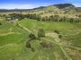 Standout quality farm with very high carrying capacity over 165 Acres!