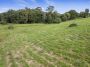 Quiet country living on 2.45-acre vacant allotment