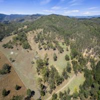 322 acres of cattle country – A blank canvas with only the sounds of nature!