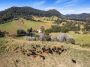 160 acres of supreme cattle or cropping country with an abundance of water close to the coast!