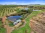 Highly Fertile Avocado and Macadamia Farm - 228 acres, 305 megs of water!