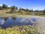 40 acre (16.19ha) Picturesque and Peaceful Lifestyle Opportunity!